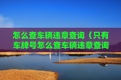 怎么查车辆违章查询（只有车牌号怎么查车辆违章查询）