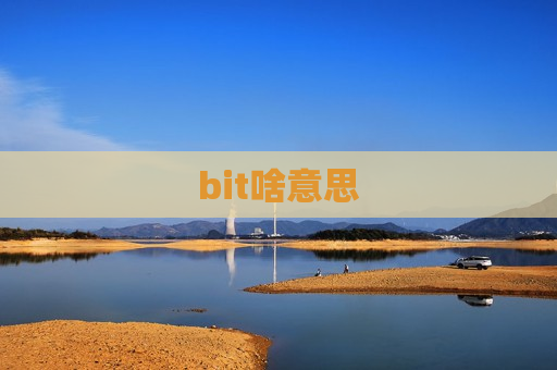 bit啥意思