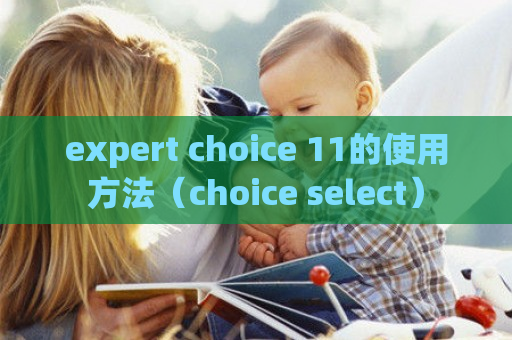 expert choice 11的使用 *** （choice select）