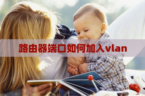 路由器端口如何加入vlan