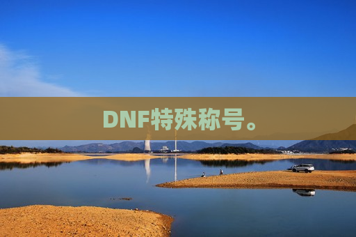 DNF特殊称号。