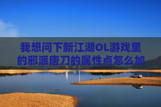 我想问下新江湖OL游戏里的邪派唐刀的属性点怎么加