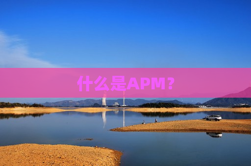 什么是APM？