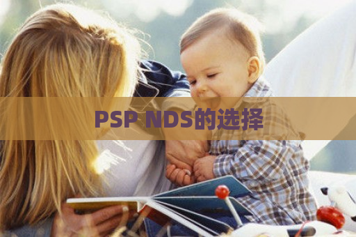 PSP NDS的选择