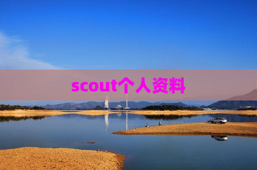 scout个人资料