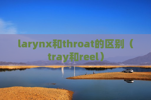 larynx和throat的区别（tray和reel）