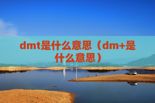 dmt是什么意思（dm+是什么意思）