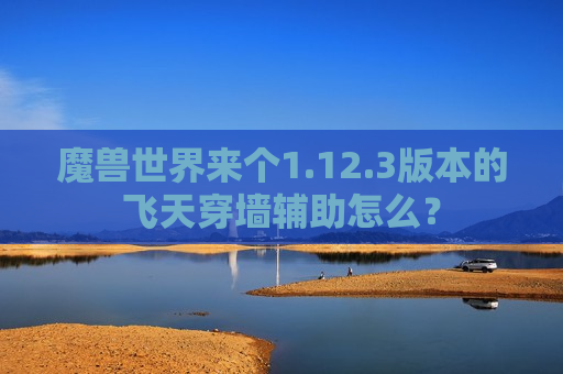 魔兽世界来个1.12.3版本的飞天穿墙辅助怎么？