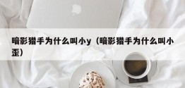 暗影猎手为什么叫小y（暗影猎手为什么叫小歪）