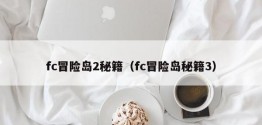 fc冒险岛2秘籍（fc冒险岛秘籍3）