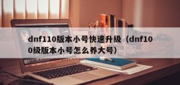 dnf110版本小号快速升级（dnf100级版本小号怎么养大号）