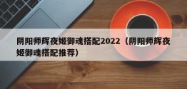 阴阳师辉夜姬御魂搭配2022（阴阳师辉夜姬御魂搭配推荐）