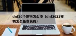 dnf20个宠物怎么凑（dnf2021宠物怎么免费获得）