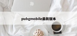 pubgmobile最新版本