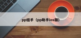 pp组手（pp助手ios版）