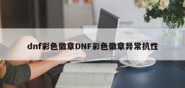 dnf彩色徽章DNF彩色徽章异常抗性