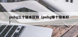 pubg三个版本区别（pubg哪个版本好）