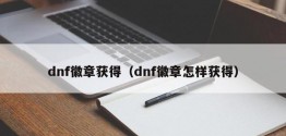 dnf徽章获得（dnf徽章怎样获得）