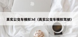 真实公交车模拟3d（真实公交车模拟驾驶）