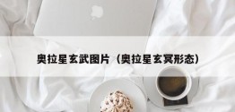 奥拉星玄武图片（奥拉星玄冥形态）