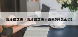 清泽谱之惠（清泽谱之惠小西天5开怎么过）