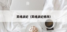 灵魂战纪（灵魂战纪修改）