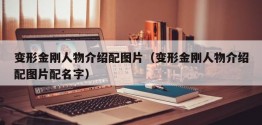 变形金刚人物介绍配图片（变形金刚人物介绍配图片配名字）