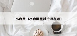 小森灵（小森灵星梦千寻在哪）