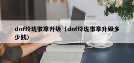 dnf玲珑徽章升级（dnf玲珑徽章升级多少钱）