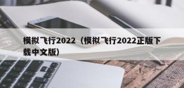 模拟飞行2022（模拟飞行2022正版下载中文版）